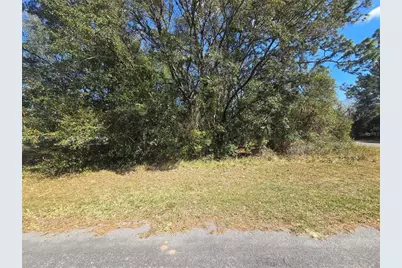 8467 N Empire Avenue, Citrus Springs, FL 34433 - Photo 4