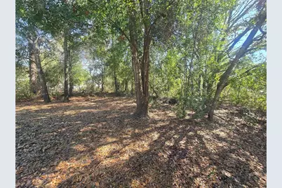 8467 N Empire Avenue, Citrus Springs, FL 34433 - Photo 6