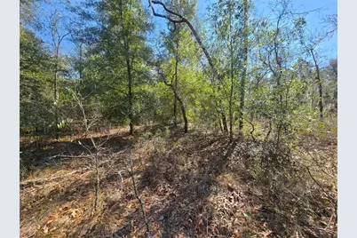 8365 N Ibsen Drive, Citrus Springs, FL 34433 - Photo 10