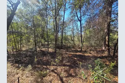 8365 N Ibsen Drive, Citrus Springs, FL 34433 - Photo 6