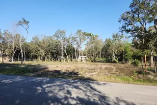 Lot 19 NW 119 Th Ct, Ocala, FL 34482 - Photo 1