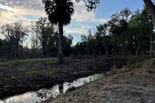 12115 SE Sunset Harbor Rd, Weirsdale, FL 32195 - Photo 28