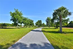 12115 SE Sunset Harbor Rd, Weirsdale, FL 32195 - Photo 22