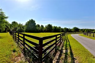 12115 SE Sunset Harbor Rd, Weirsdale, FL 32195 - Photo 26