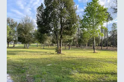 12115 SE Sunset Harbor Road, Weirsdale, FL 32195 - Photo 30