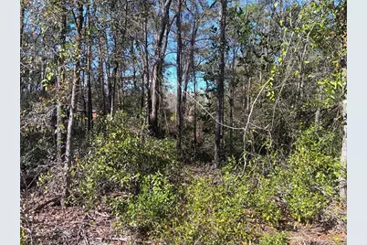 155 Palm Drive, Bronson, FL 32621 - Photo 2