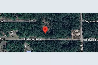 324 Redwood Boulevard, Georgetown, FL 32139 - Photo 2