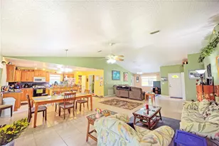9795 NE 303rd Ave, Salt Springs, FL 32134 - Photo 6