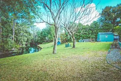 9795 NE 303rd Avenue, Salt Springs, FL 32134 - Photo 4