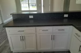 29 Fisher Ter, Ocklawaha, FL 32179 - Photo 4