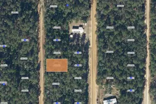 Lot 7 Norman Ave, Interlachen, FL 32148 - Photo 1