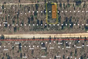 Tbd Banyan St, Interlachen, FL 32148 - Photo 1