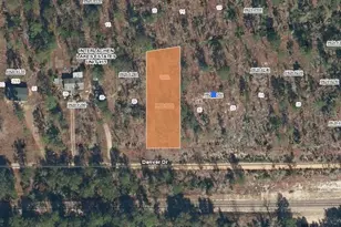 00 Denver Dr, Interlachen, FL 32148 - Photo 1