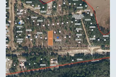 00 Denver Drive, Interlachen, FL 32148 - Photo 2
