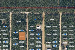 Lots 28 & 29 Norman Ave, Interlachen, FL 32148 - Photo 1