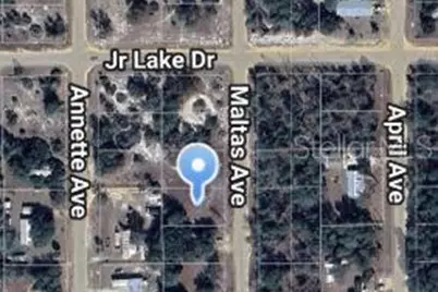 00 Maltas Avenue, Interlachen, FL 32148 - Photo 2