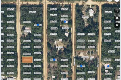 Lot 9 Del Monaco Avenue, Interlachen, FL 32148 - Photo 1