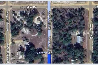 00 Maltas Avenue, Interlachen, FL 32148 - Photo 2