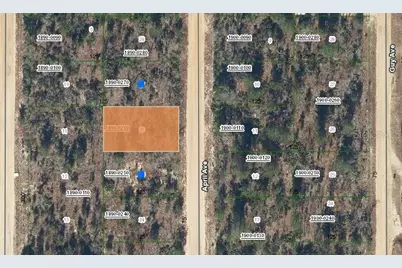 00 April Avenue, Interlachen, FL 32148 - Photo 1