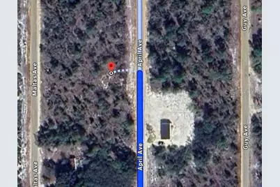 00 April Avenue, Interlachen, FL 32148 - Photo 2