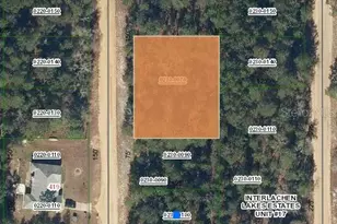 O Farrel Ave, Interlachen, FL 32148 - Photo 1