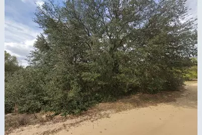 821 Kitty Avenue, Interlachen, FL 32148 - Photo 4