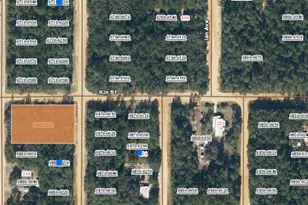 Tbd Theresa Ave, Interlachen, FL 32148 - Photo 1