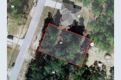 8949 N Lansen Way, Citrus Springs, FL 34433 - Photo 1