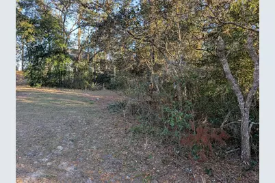 8949 N Lansen Way, Citrus Springs, FL 34433 - Photo 6