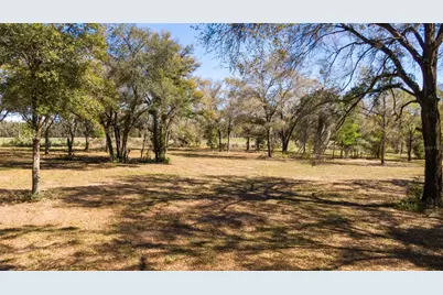 0 NE 36th Avenue, Ocala, FL 34479 - Photo 16