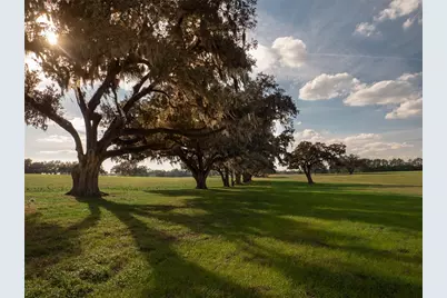 12894 NW Gainesville Road, Reddick, FL 32686 - Photo 1