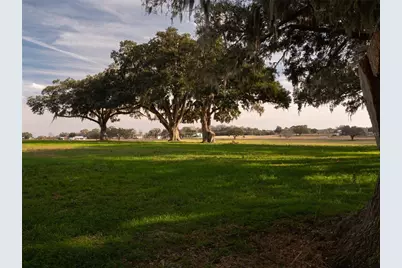 12894 NW Gainesville Road, Reddick, FL 32686 - Photo 2