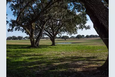 12894 NW Gainesville Road, Reddick, FL 32686 - Photo 6