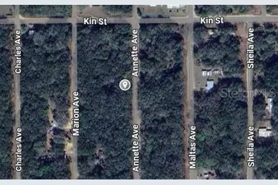 Annette, Interlachen, FL 32148 - Photo 2