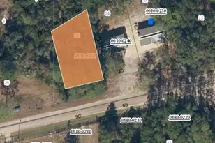 00 Peebles Rd, Interlachen, FL 32148 - Photo 1