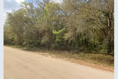 Annette Avenue, Interlachen, FL 32148 - Photo 4