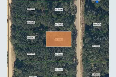 Annette Avenue, Interlachen, FL 32148 - Photo 1