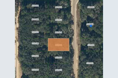 Annette Avenue, Interlachen, FL 32148 - Photo 1