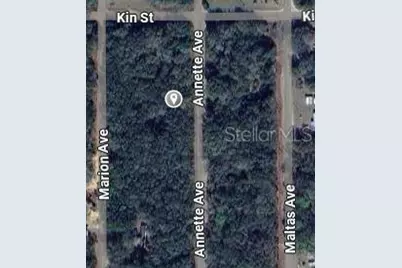 Annette Avenue, Interlachen, FL 32148 - Photo 2