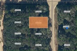 Annette Ave, Interlachen, FL 32148 - Photo 1