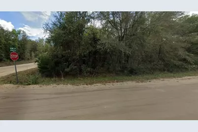 Annette Avenue, Interlachen, FL 32148 - Photo 4