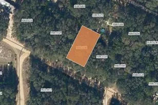 Annette Ave, Interlachen, FL 32148 - Photo 1