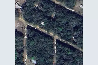 Annette Avenue, Interlachen, FL 32148 - Photo 2