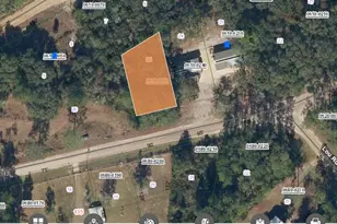 00 Cornett Rd, Interlachen, FL 32148 - Photo 1