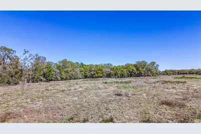 Ne 160th Avenue, Williston, FL 32696 - Photo 44