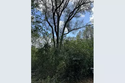 00 SW 193 Circle, Dunnellon, FL 34432 - Photo 2