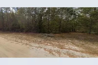 Guy Avenue, Interlachen, FL 32148 - Photo 4