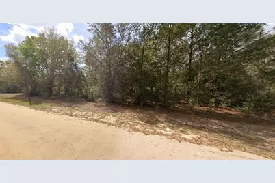 Lenore Avenue, Interlachen, FL 32148 - Photo 4