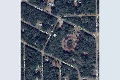 Lloyd Drive, Interlachen, FL 32148 - Photo 2