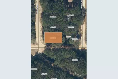 00 Denise Street, Interlachen, FL 32148 - Photo 1